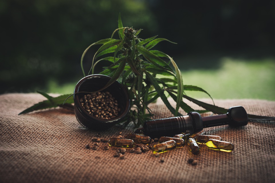 Tips for Choosing the Right CBD Oil