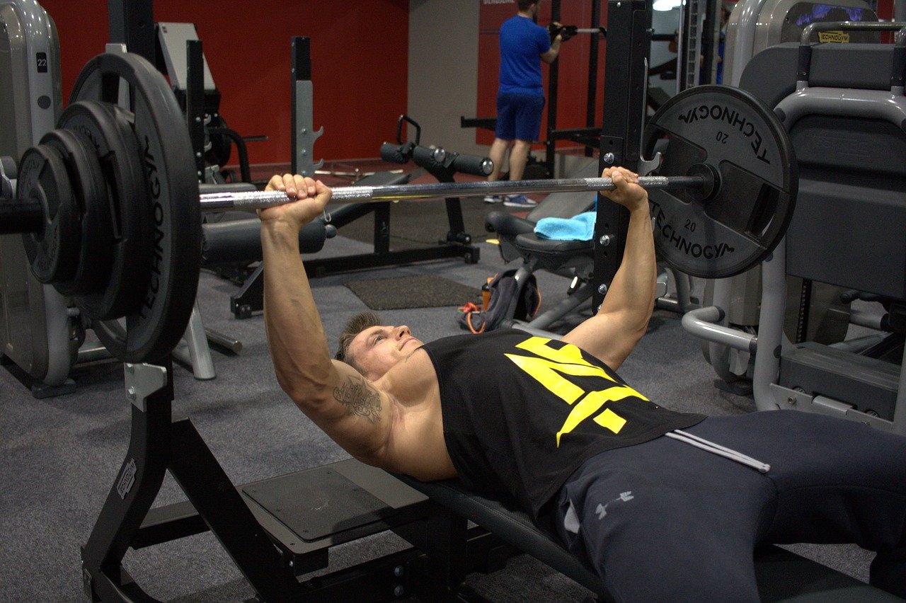 Benefits of a Workout Bench and How to Choose the Right One