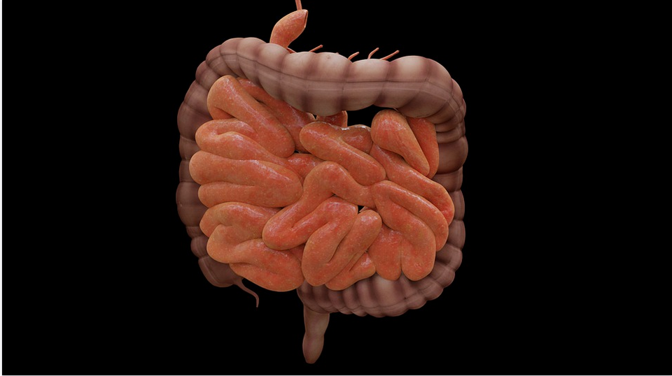 Signs of an Unhealthy Gut